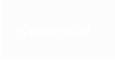 Kurumsal